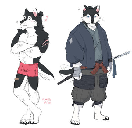 husky samurai
