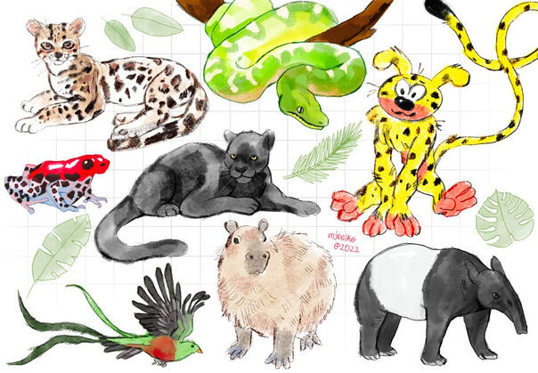 animal sketchpage