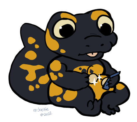 tiny salamander
